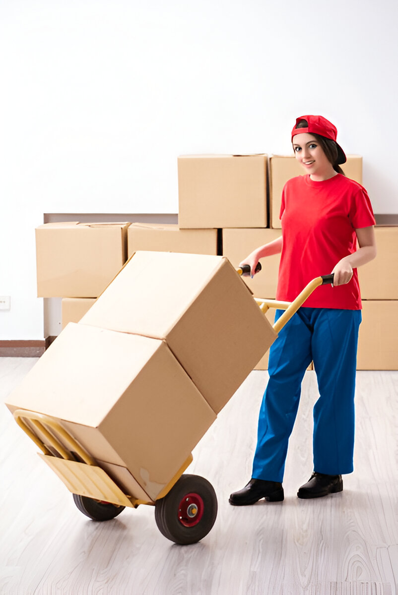 Furniture Assembly
