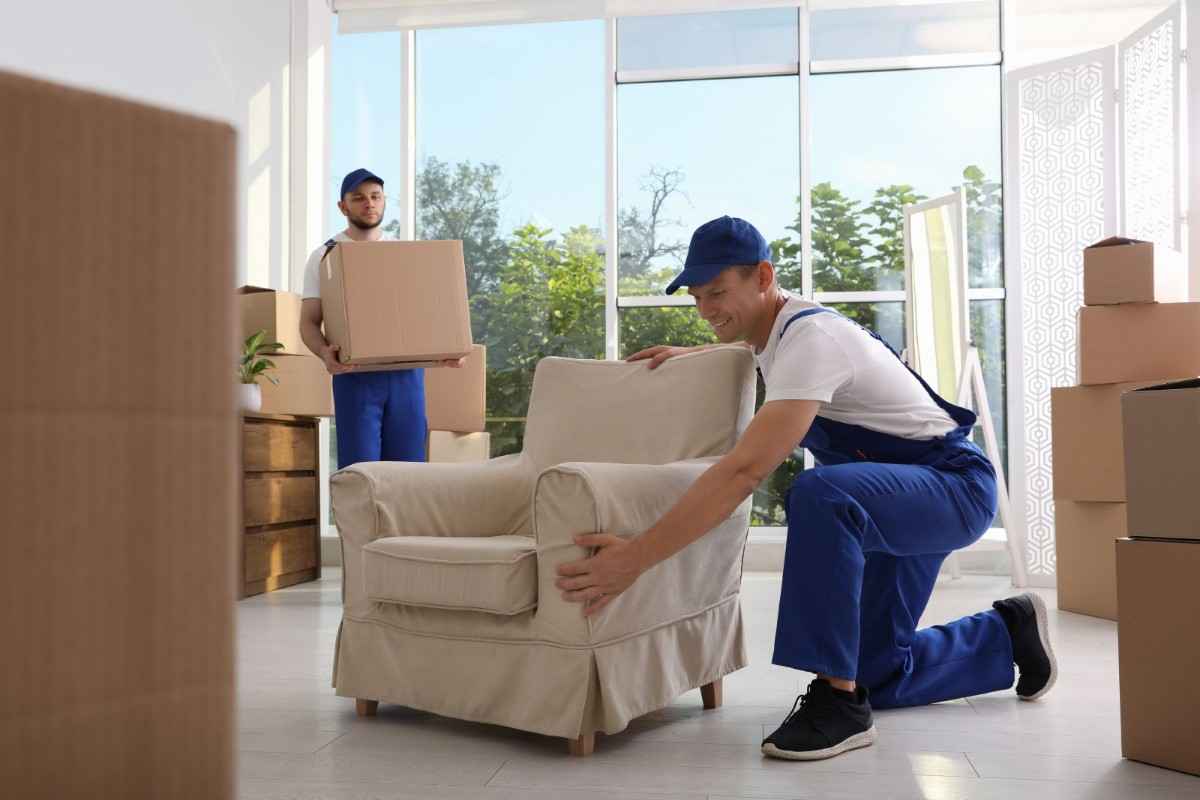 Furniture Removalists