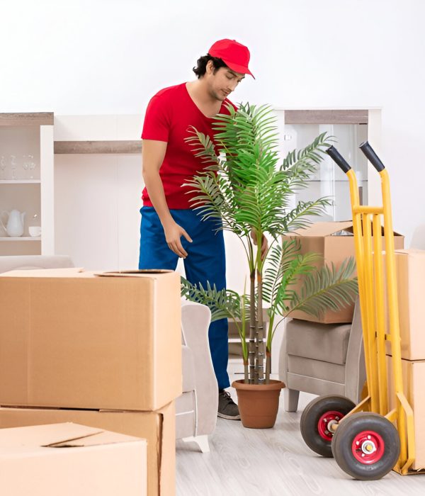 Interstate Removalists Canberra to Melbourne
